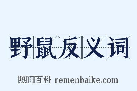 野鼠反义词是什么意思的图片